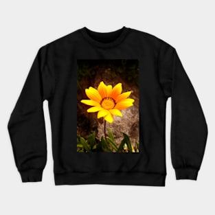 Light in the Darkness Crewneck Sweatshirt